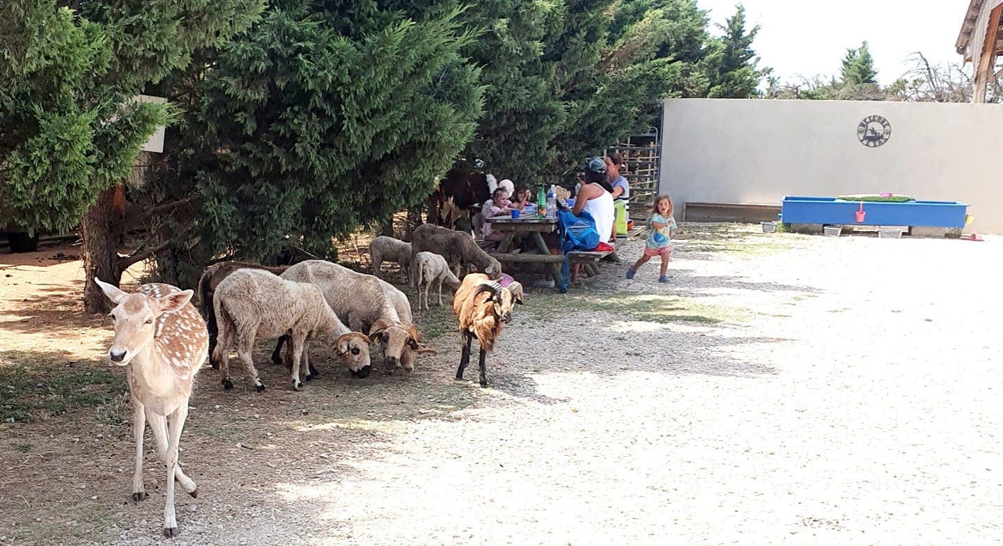 La ferme de Sedona