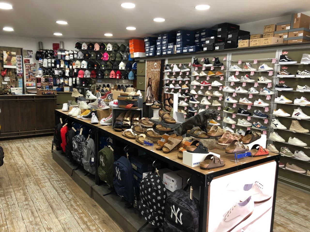Sportissimo