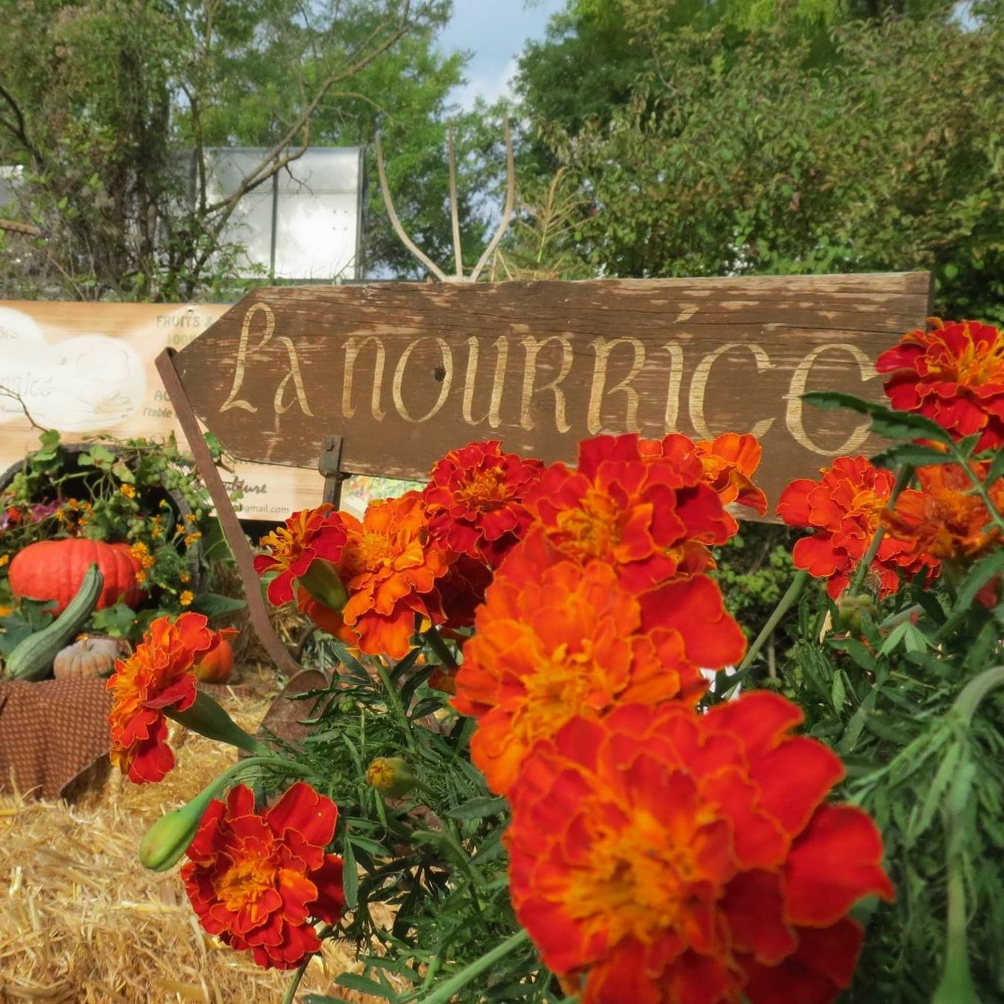 Oasis de La Nourrice_Fuveau