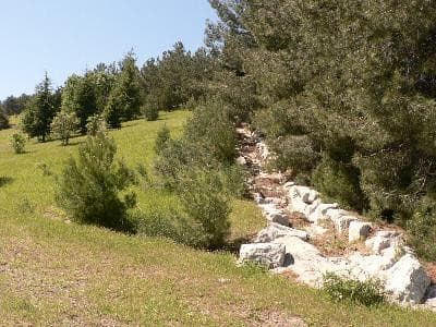 13VIS001357_3_WEB.jpg