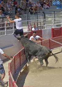 Arenes