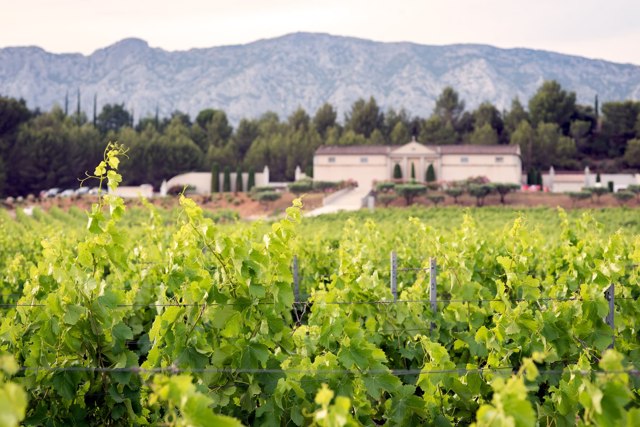 Domaine