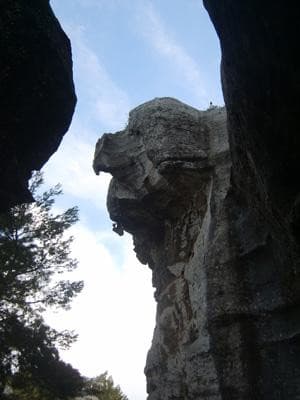 13SNA000057_2_WEB.jpg