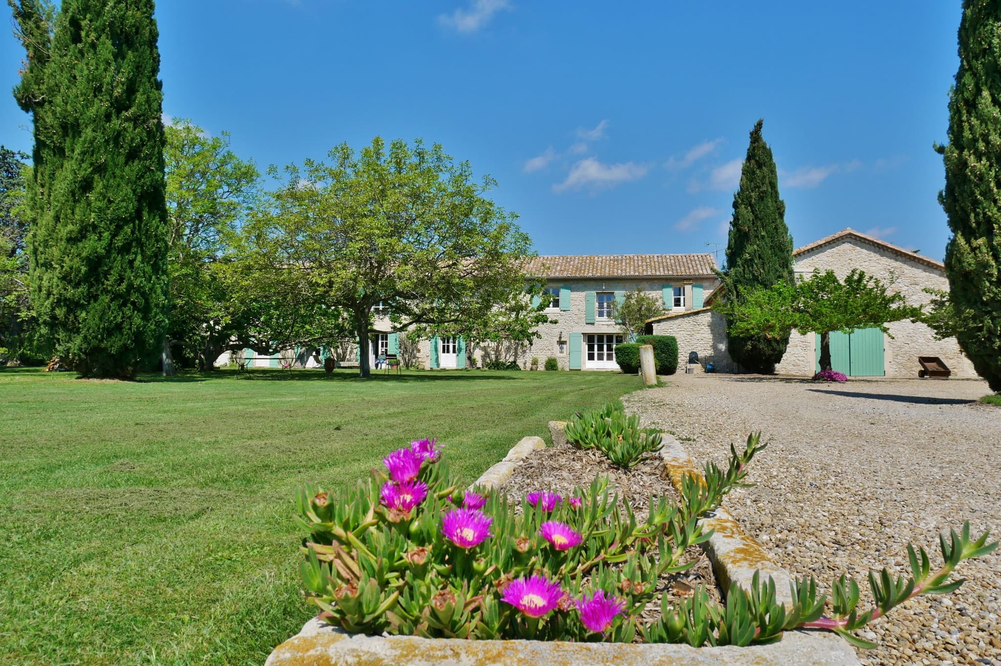 Camargue_Tarascon
