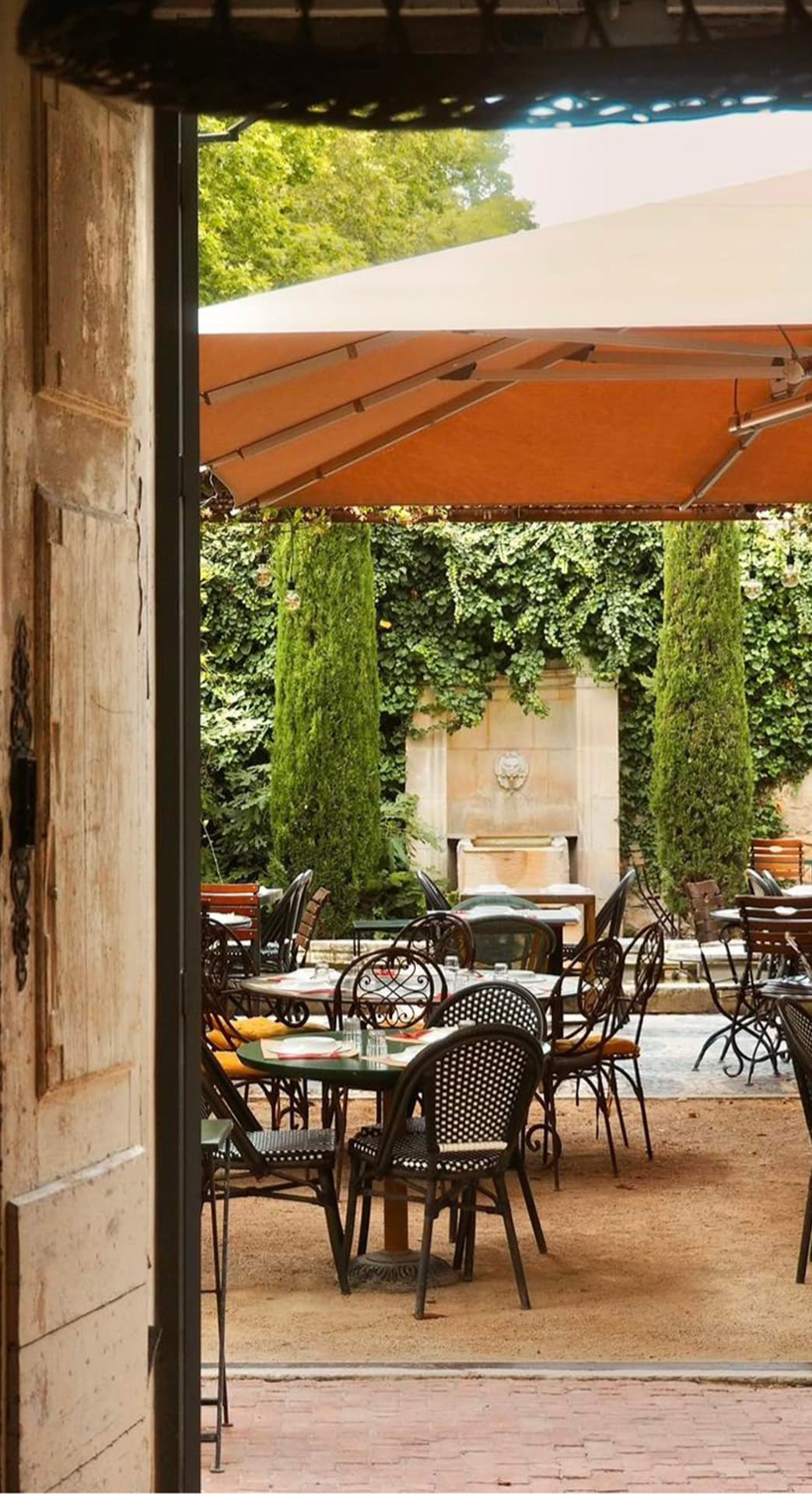 Maison Mistral, Bistrot les Pieds dans l'eau_Saint-Rémy-de-Provence