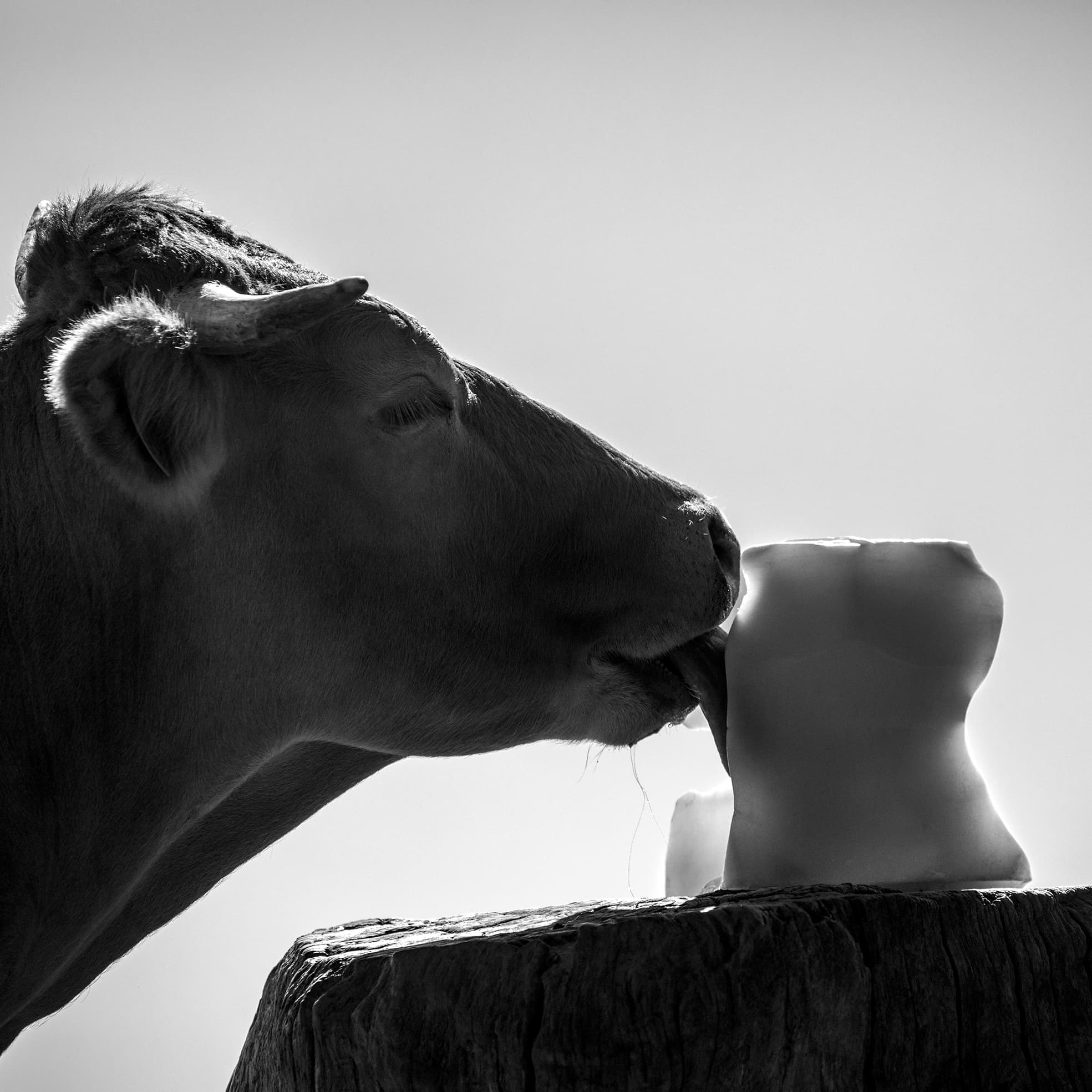 Savoureuses extases