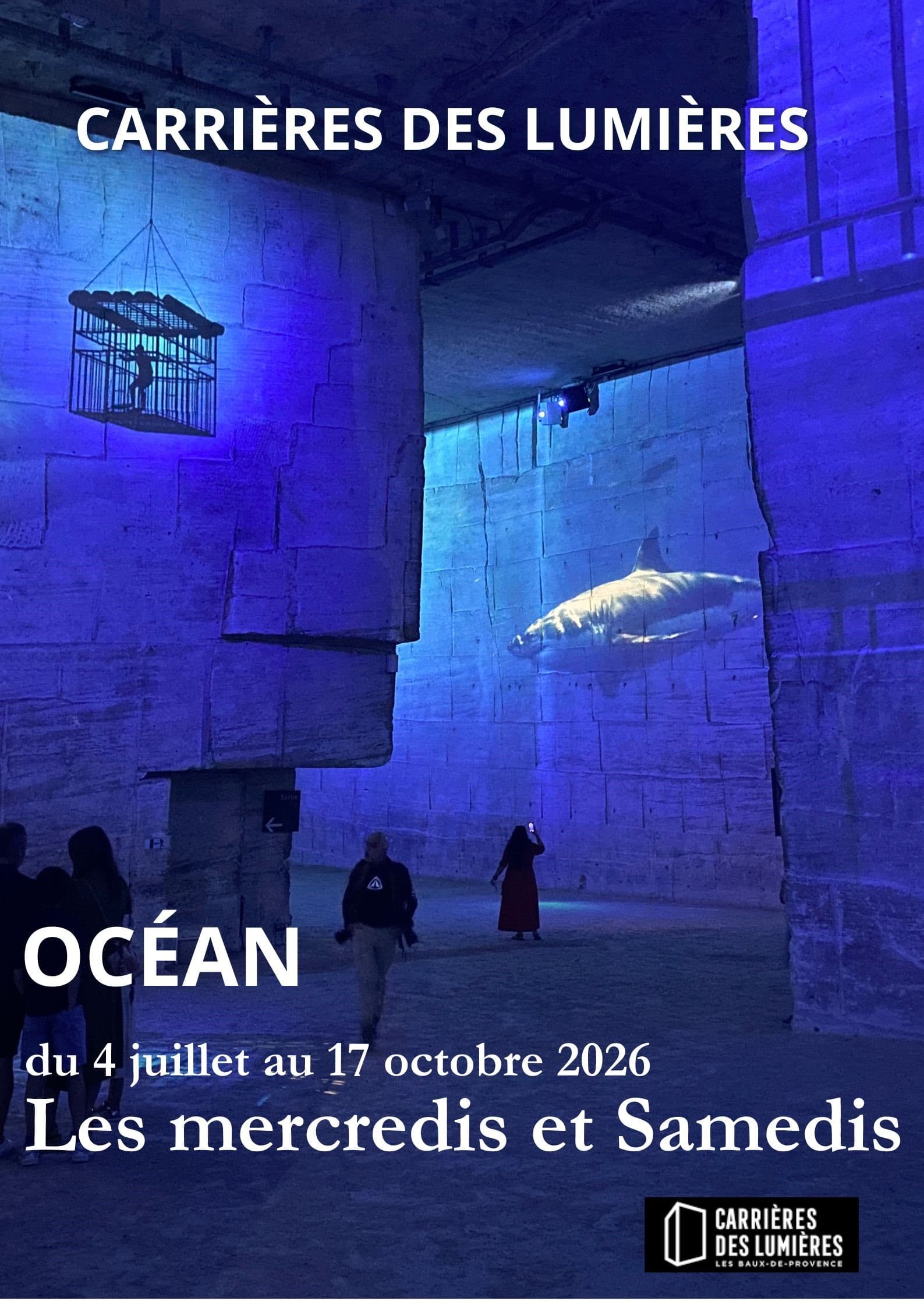Carrières-des-Lumières : Océan, immersion dans le monde sous-marin_Les Baux-de-Provence