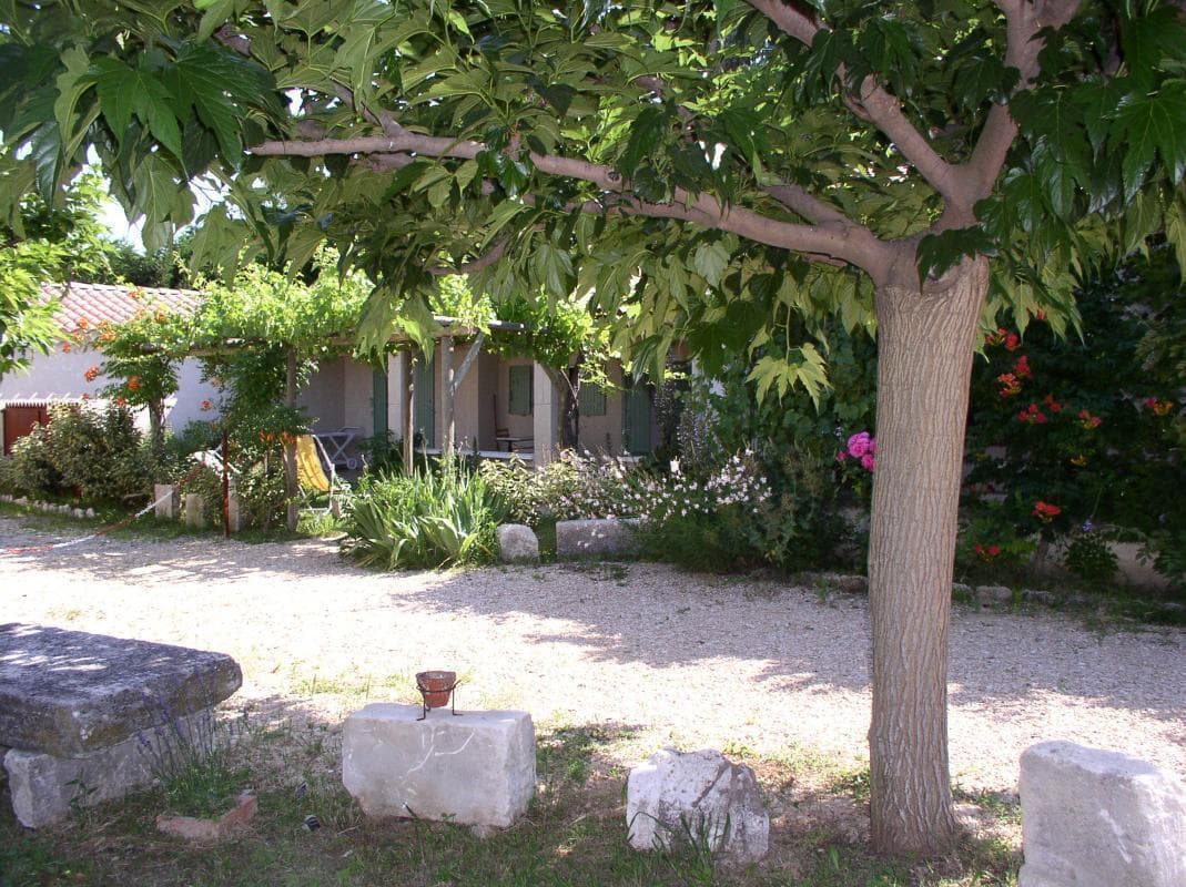 La Vigne