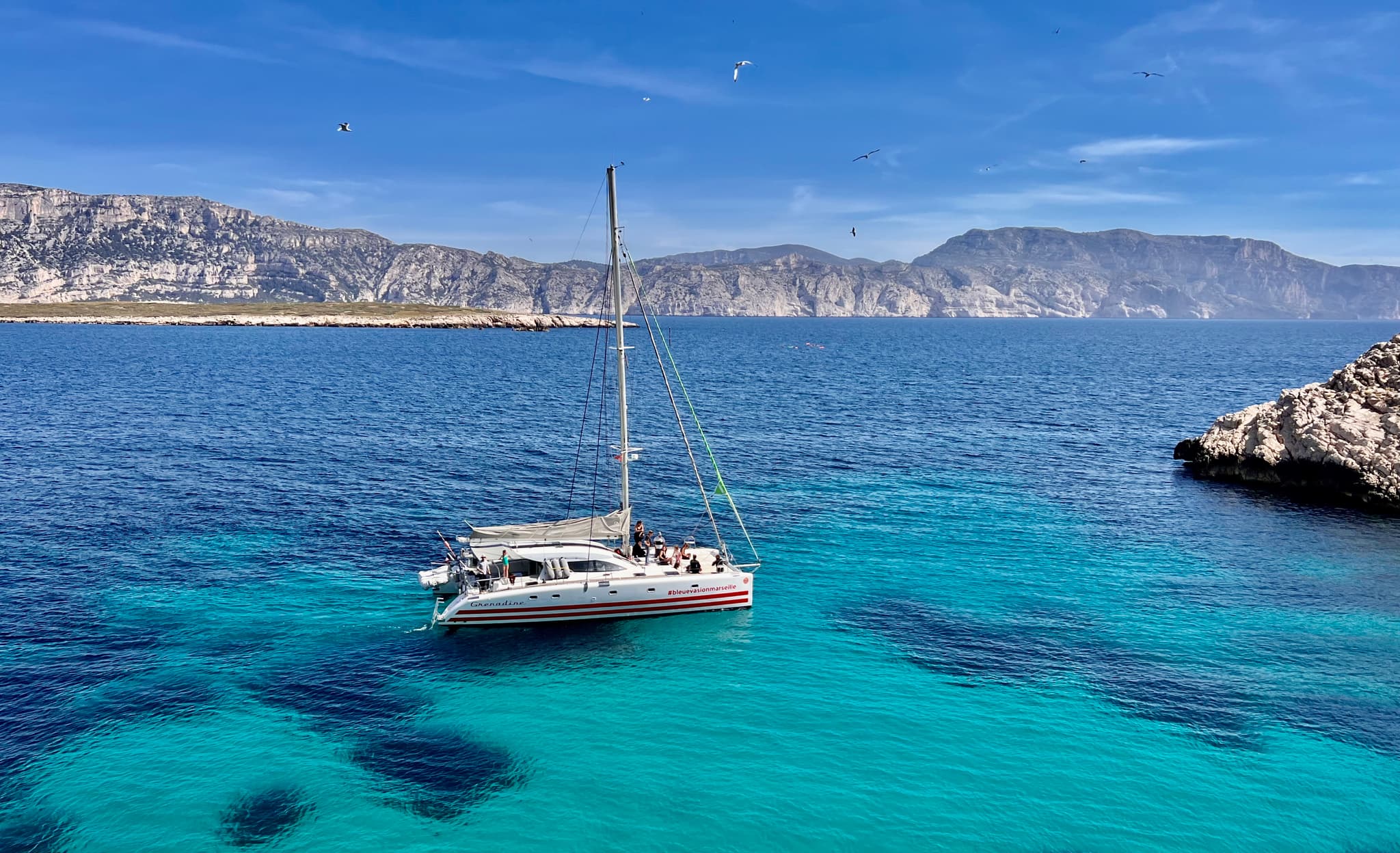 BLEU EVASION