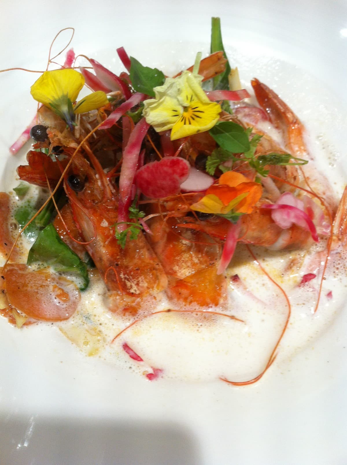 Bistrot_des_Alpilles_plat_2