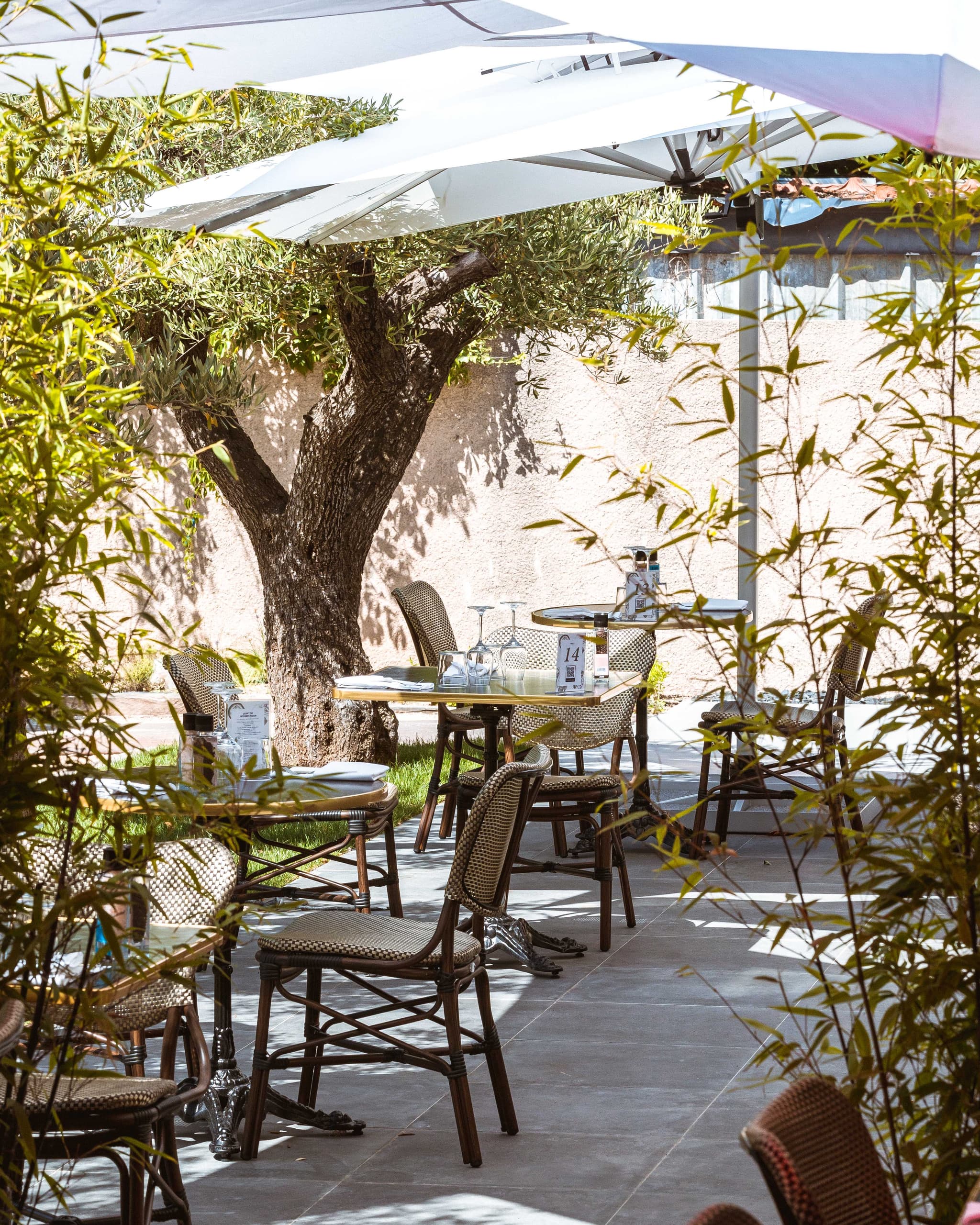 Terrasse du café