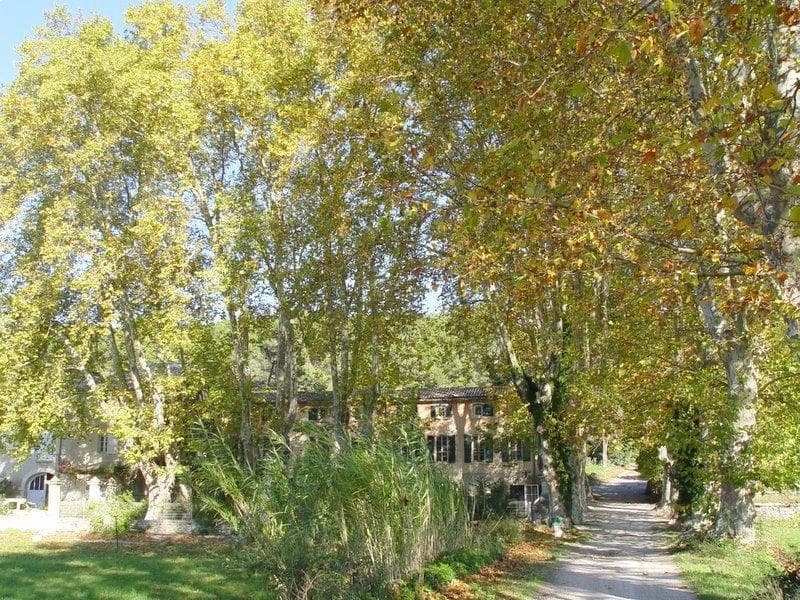 L'Ouliveto