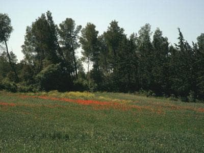 13SNA000025_1_WEB.jpg
