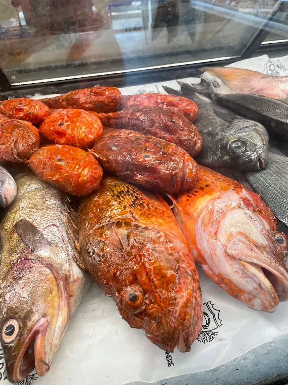 Pêche du jour
