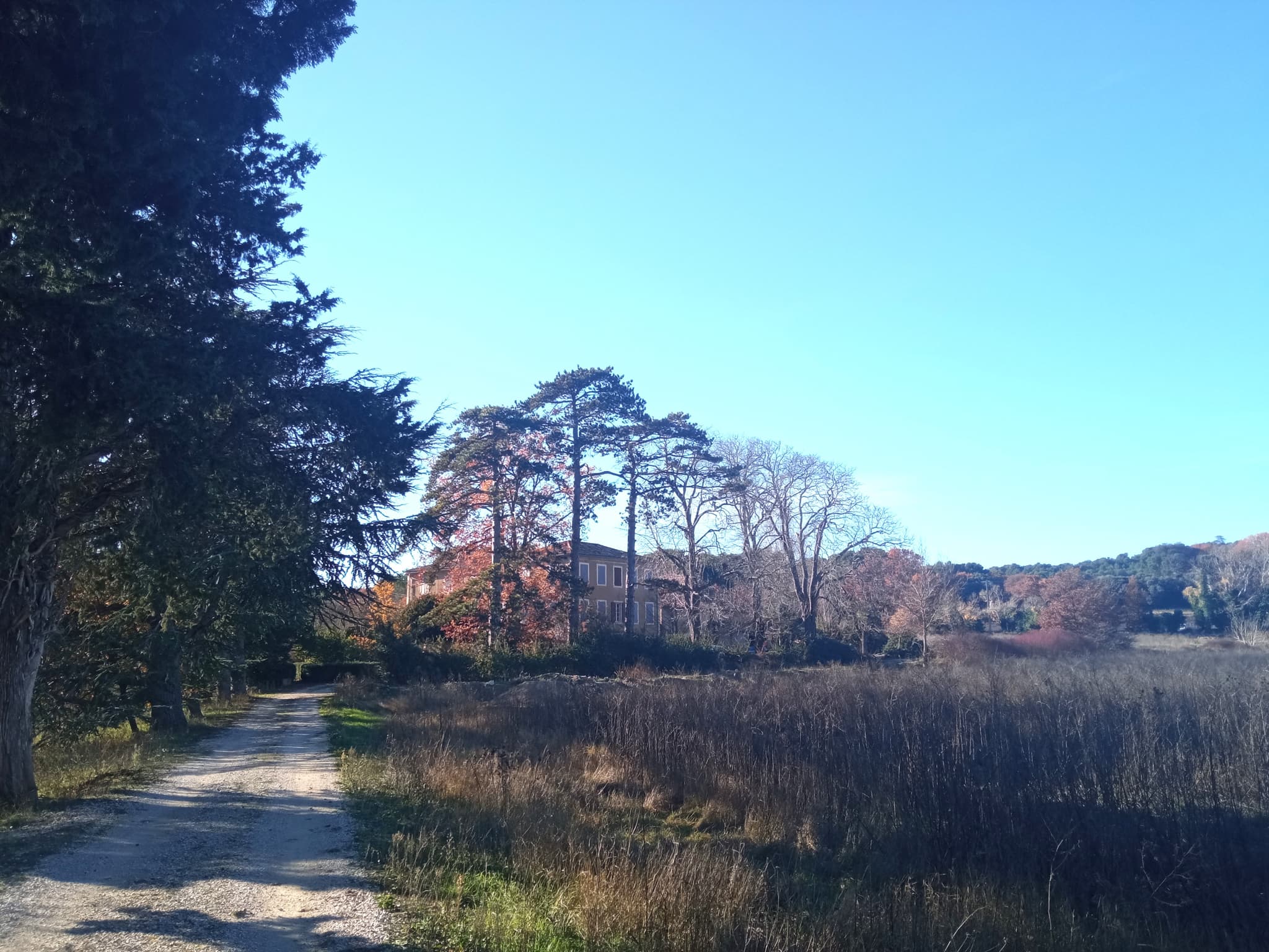 Domaine de Ribbe_Rognes