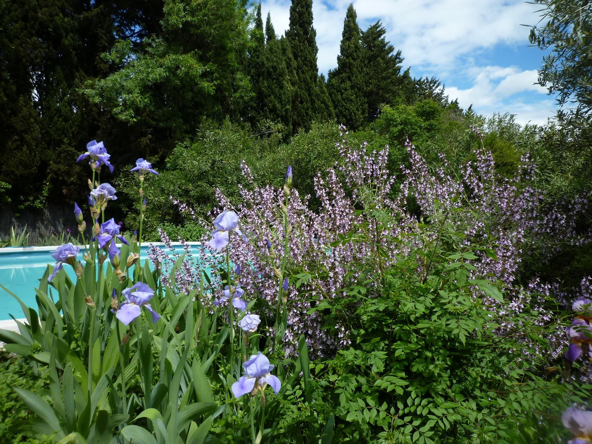 La Souste de Jean piscine