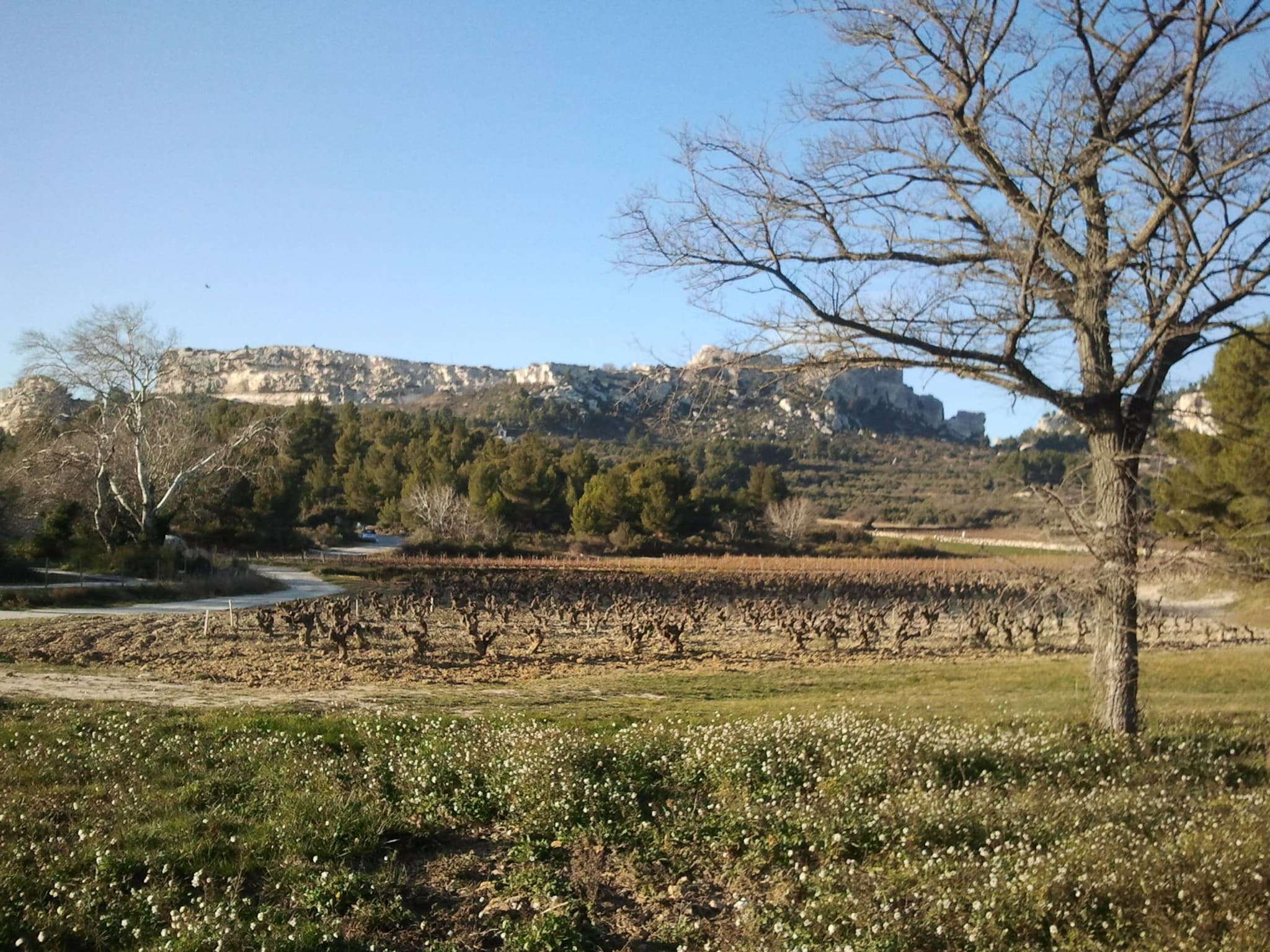 MAUSSANE-LES-ALPILLES - Vers les Baux-de-Provence