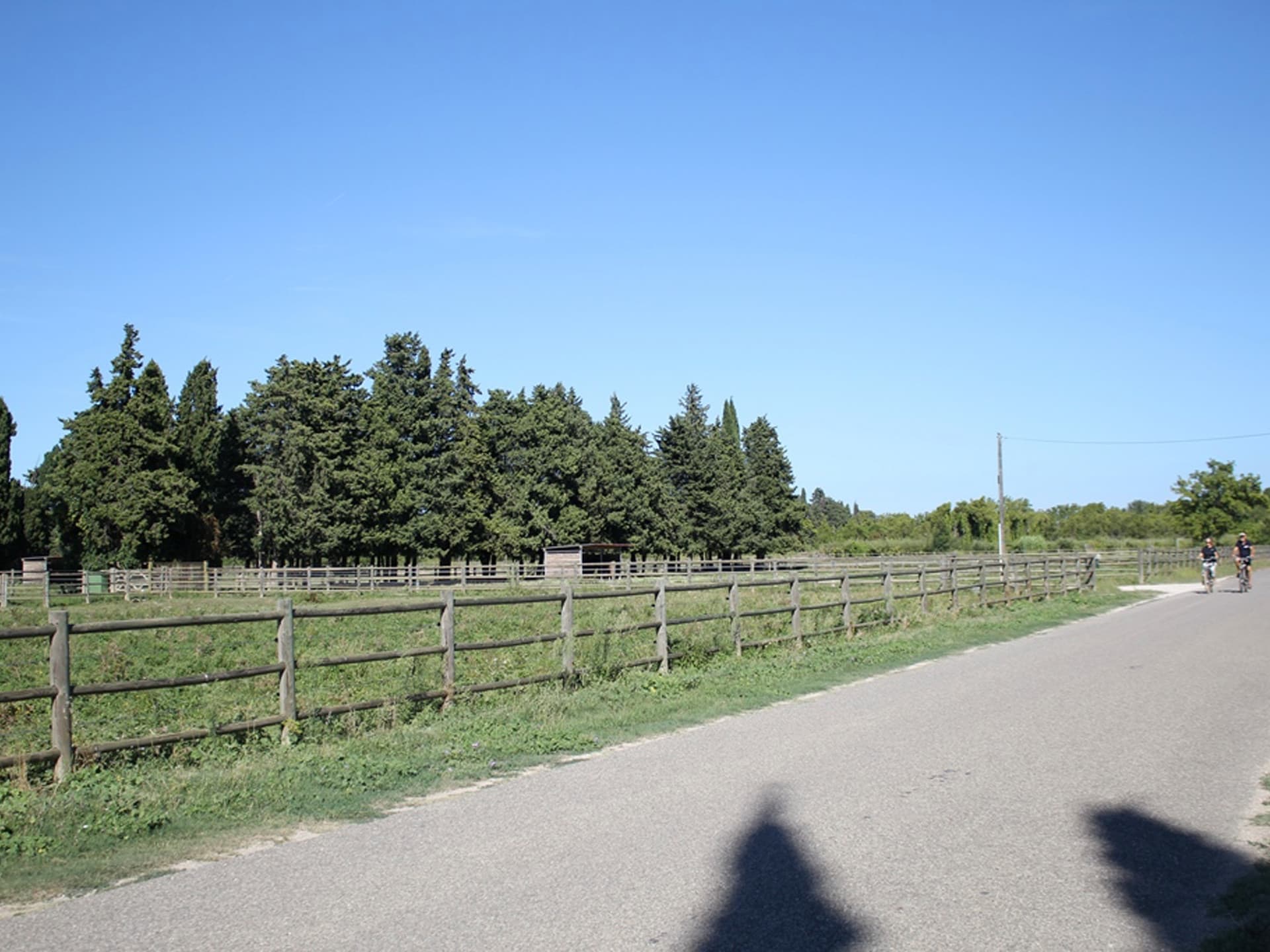 13VIS000763_1_HD.jpg
