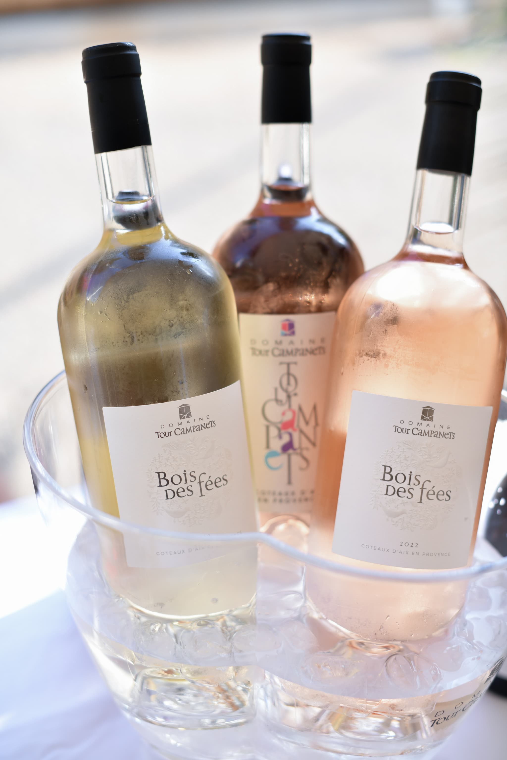 Dégustation de vins