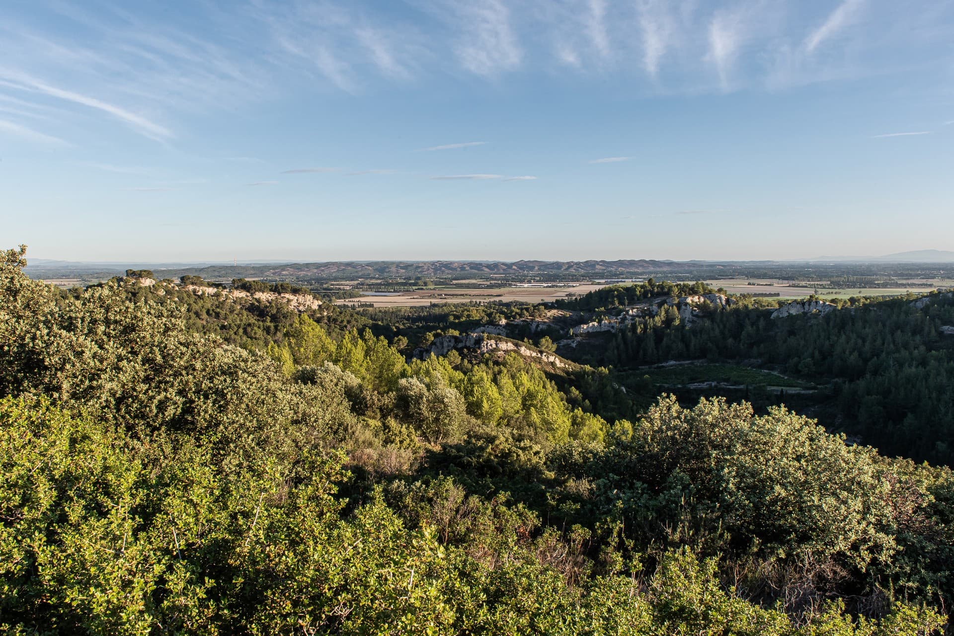 Domaine viticole Dalmeran à Saint-Étienne-du-Grès