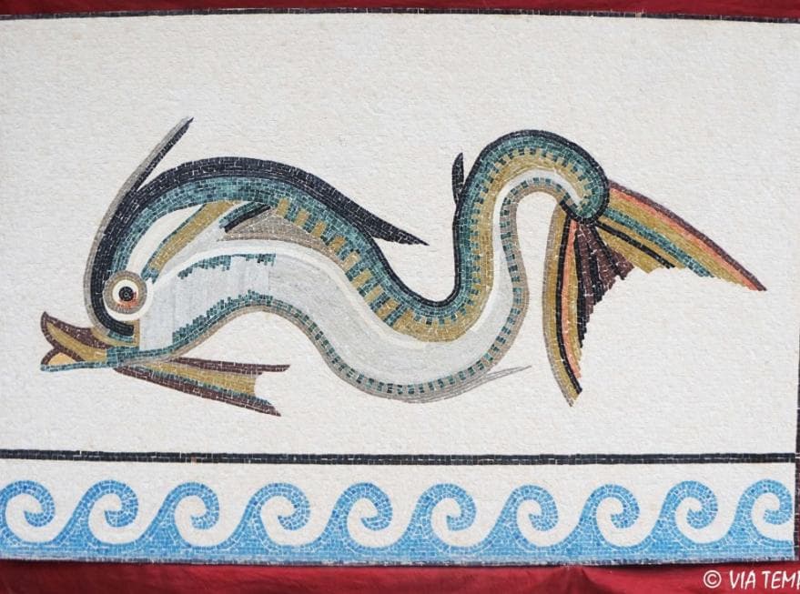 Des histoires de dauphins_Arles