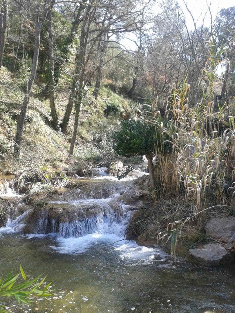 La Feuillère
