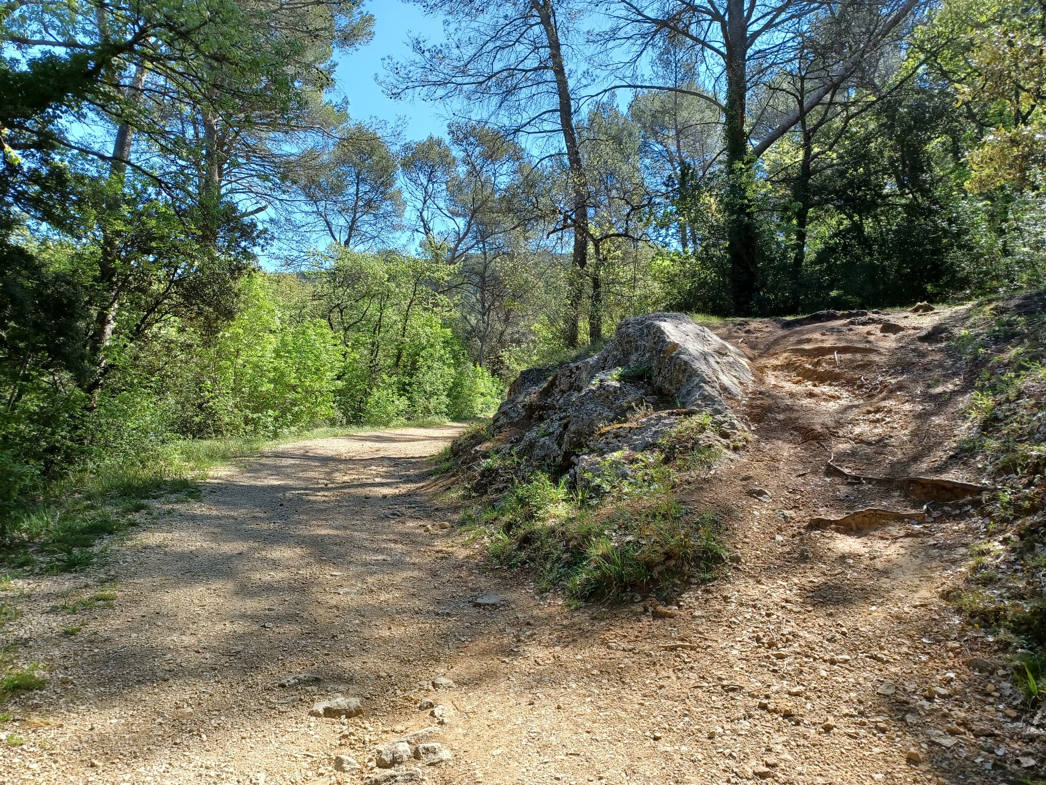 La Forêt du Défens