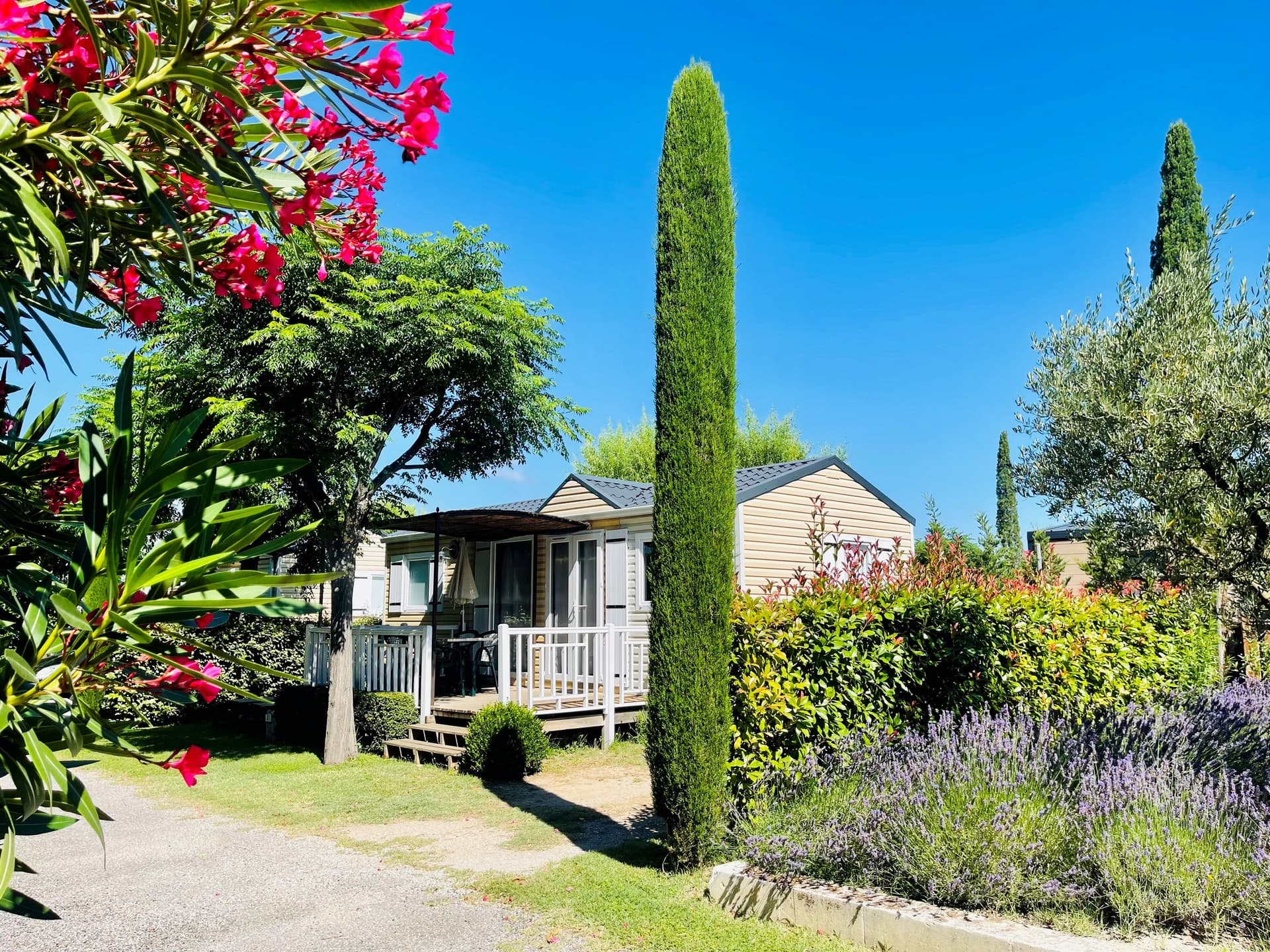 Camping Monplaisir cyprès 1
