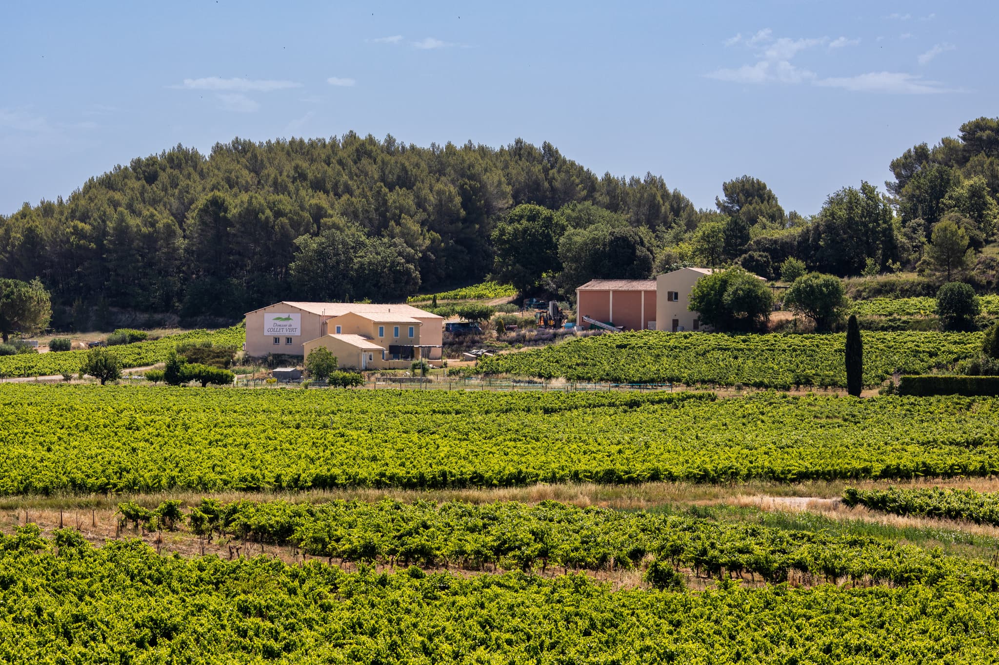 Domaine du Collet Vert