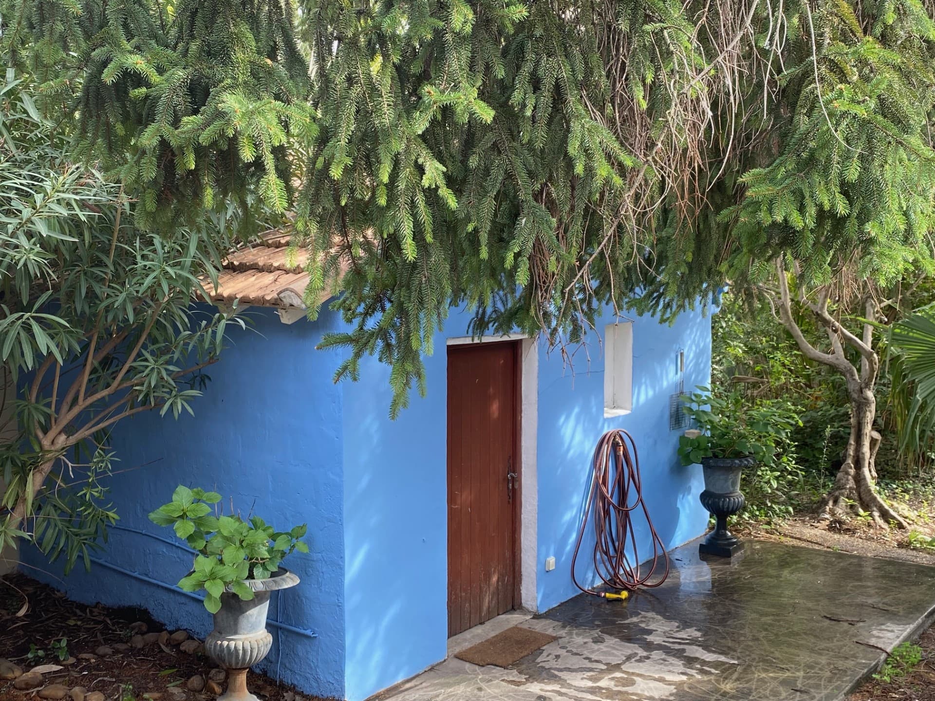 Buanderie dans le jardin