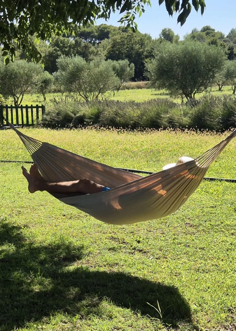 L'Amandier