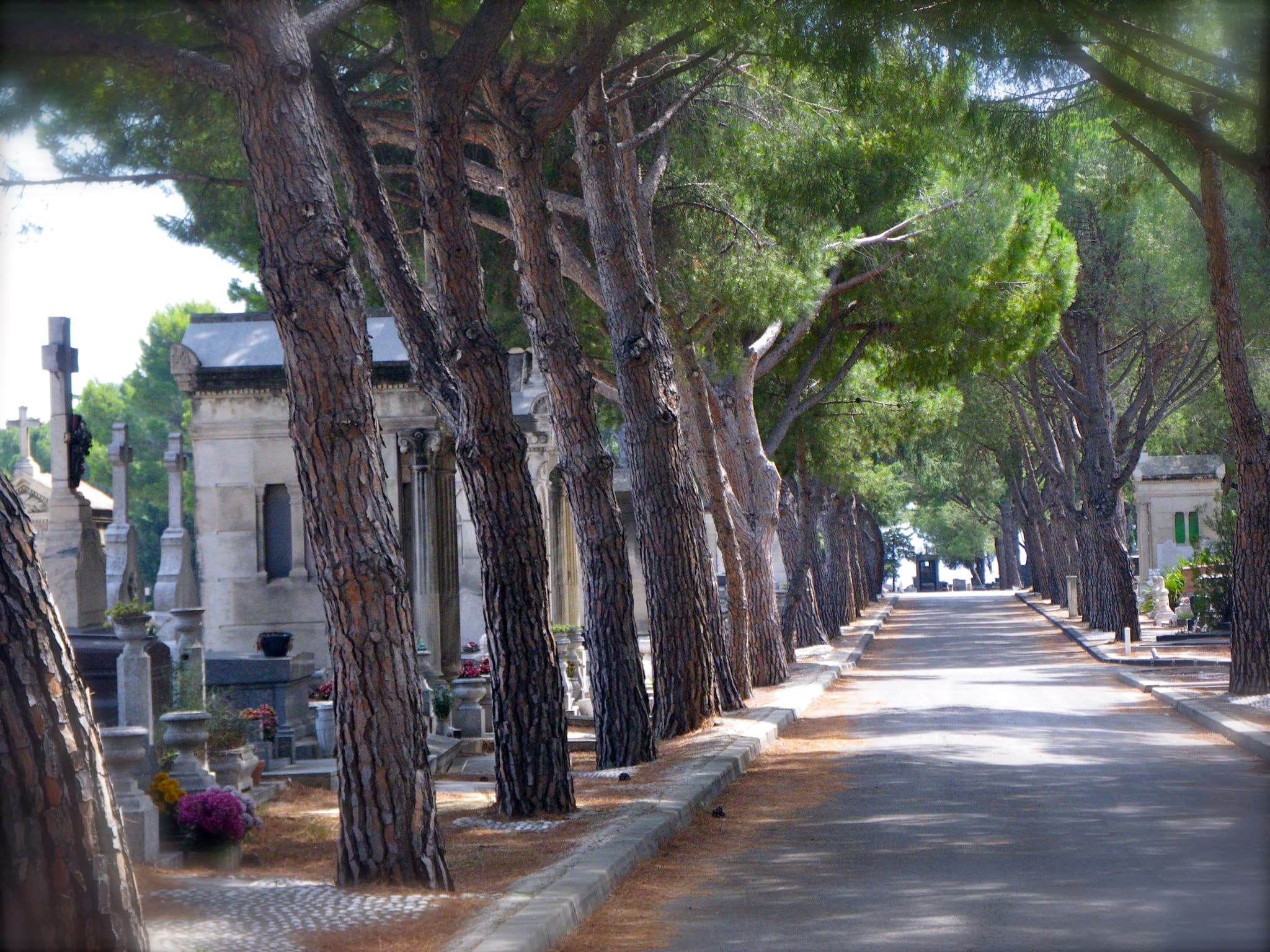 allée cimetière