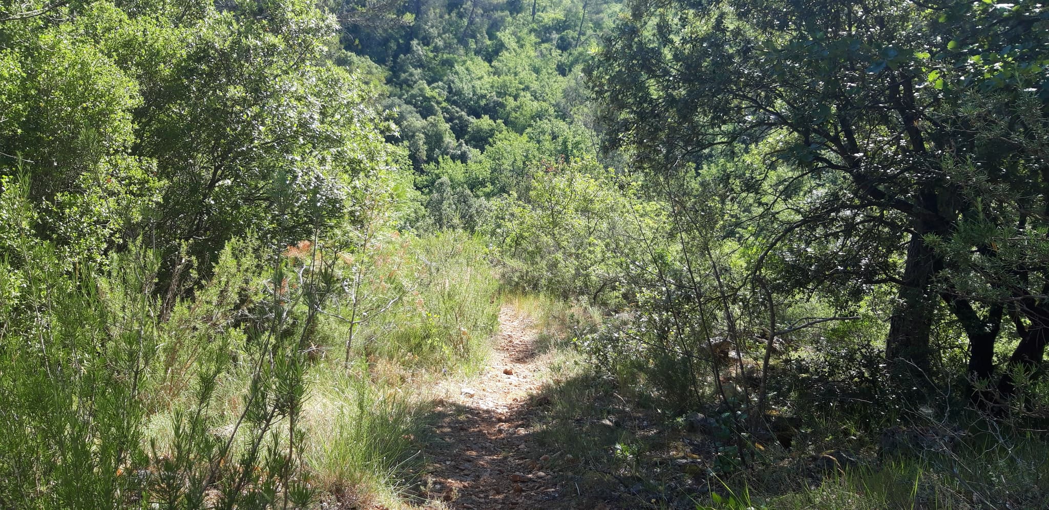 Cool Trail