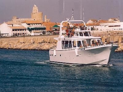 13T4004103_1_WEB.jpg