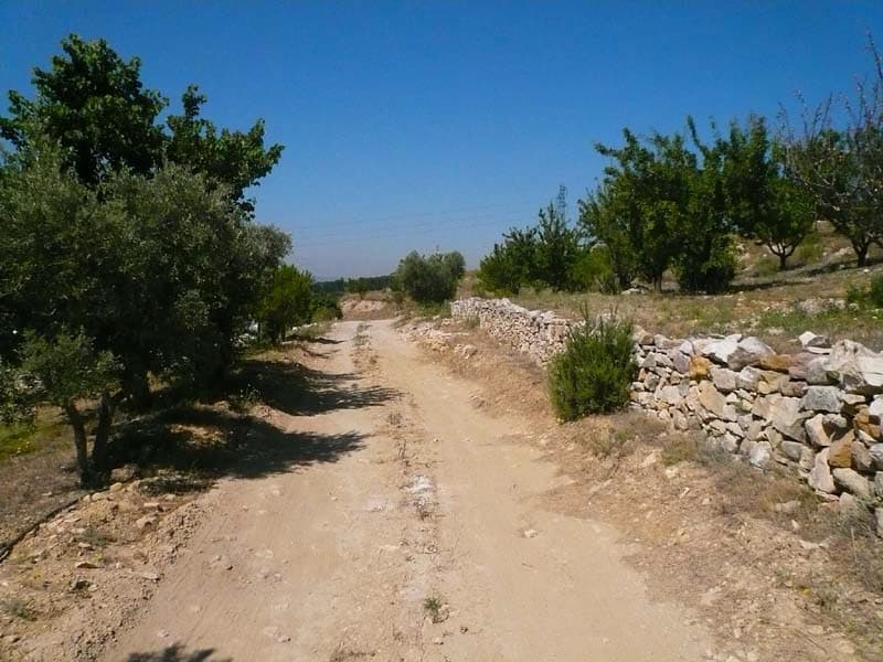 13T4002016_4_HD.jpg