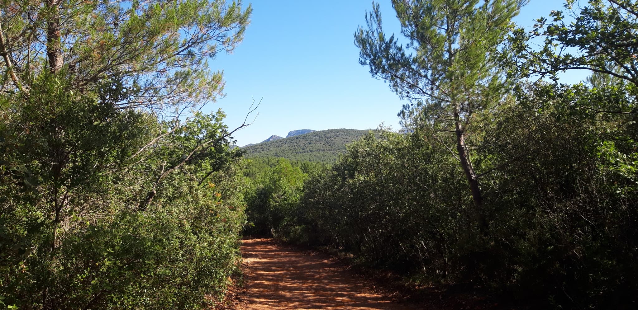 Cool Trail