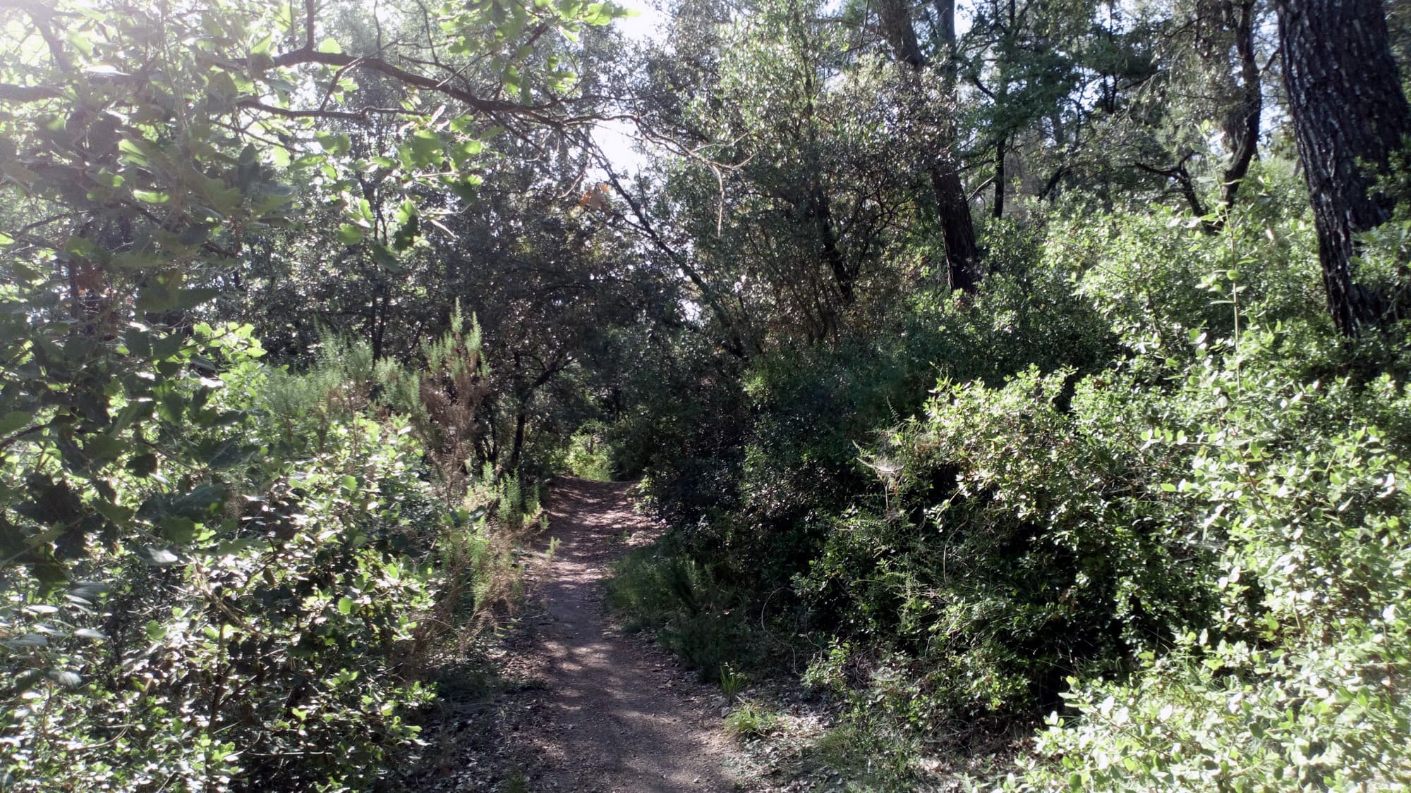 Circuit des Collines_Gardanne