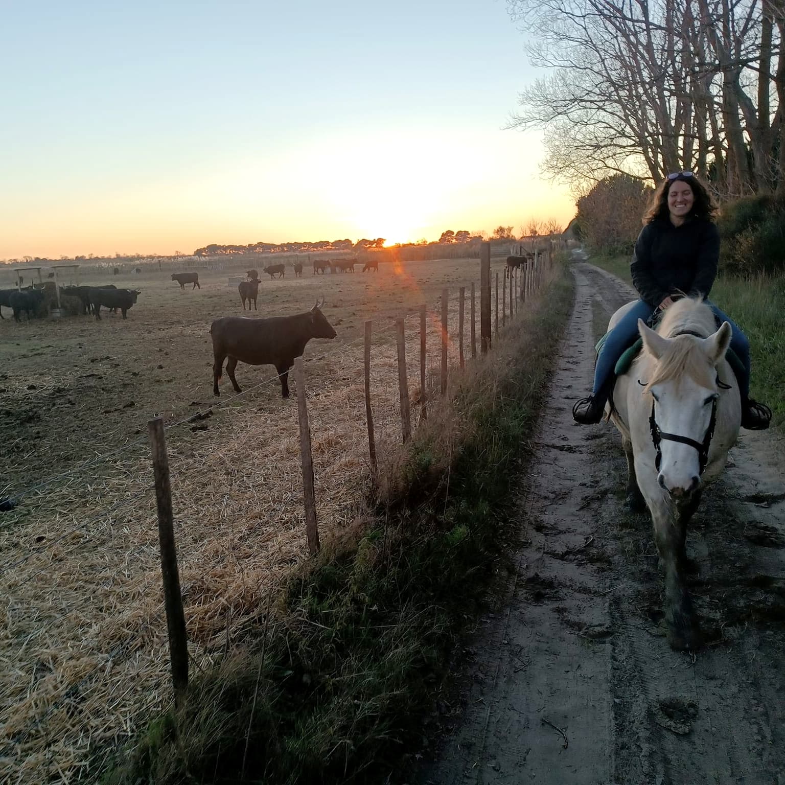 Promenade à cheval de la Fadaise_Saintes-Maries-de-la-Mer