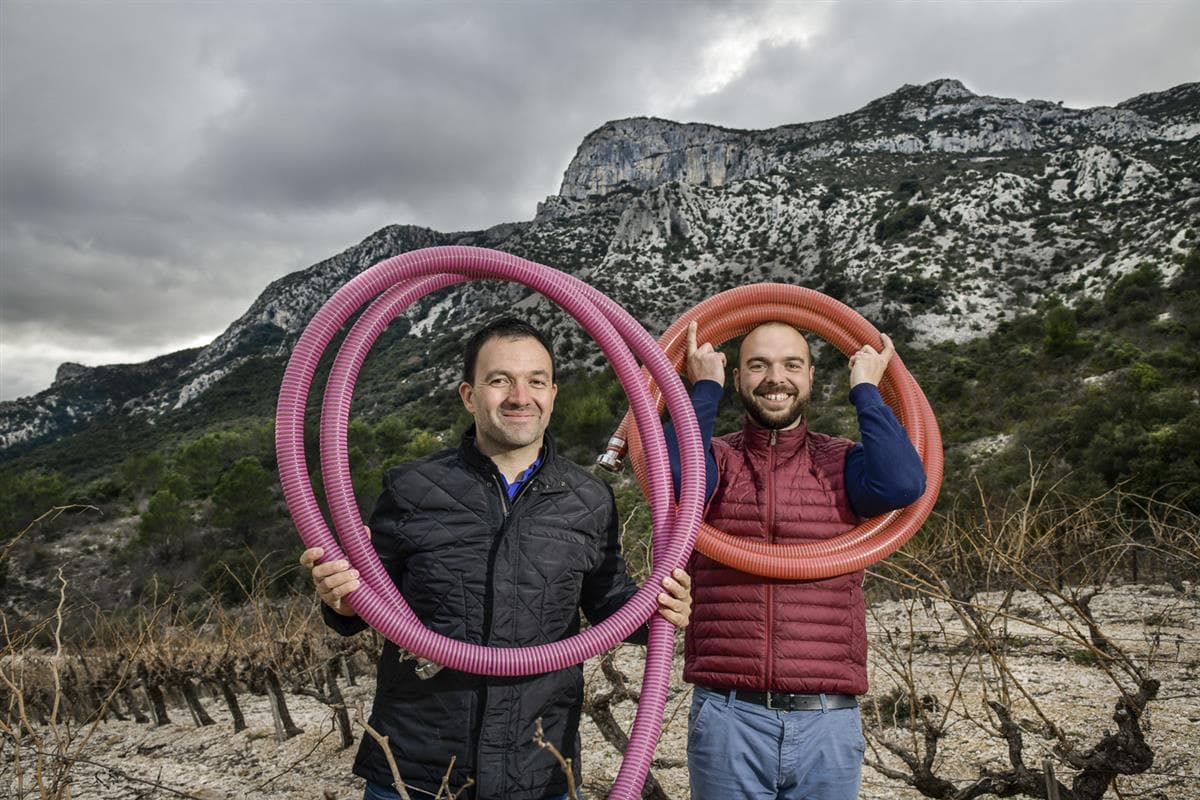 Tour de baulx - vignobles Coulet