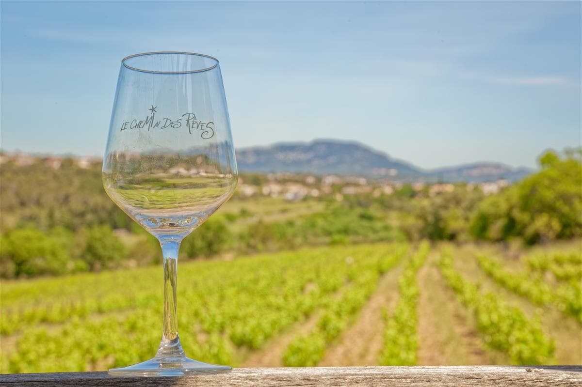 Découverte d'un domaine viticole - Le Chemin des rêves