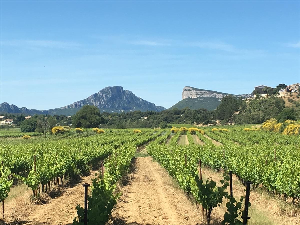 Offre 2 -pic-saint-loup-MontpellierWineTours - Montpellier Wine tours