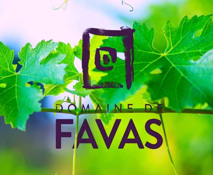 Découverte du Domaine de Favas