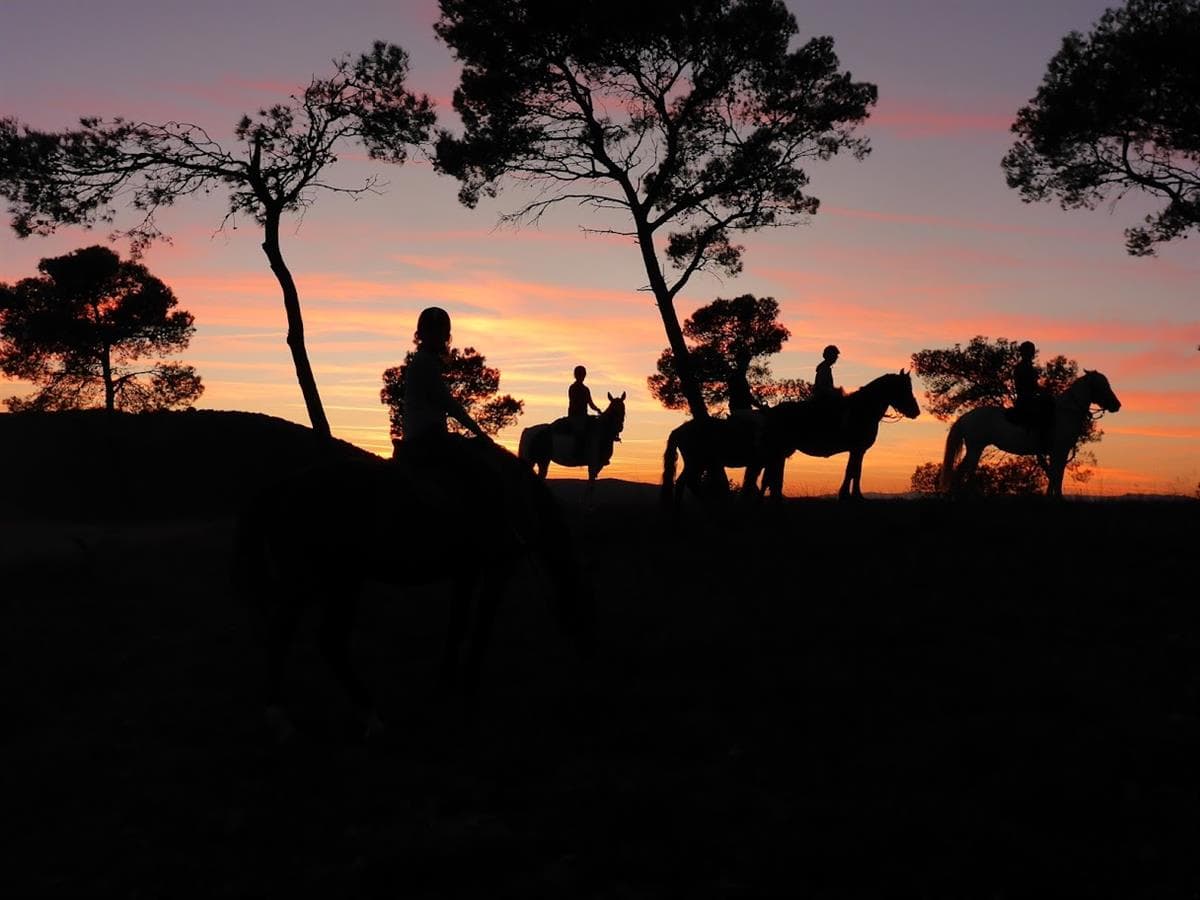 horse aventure horse and stars