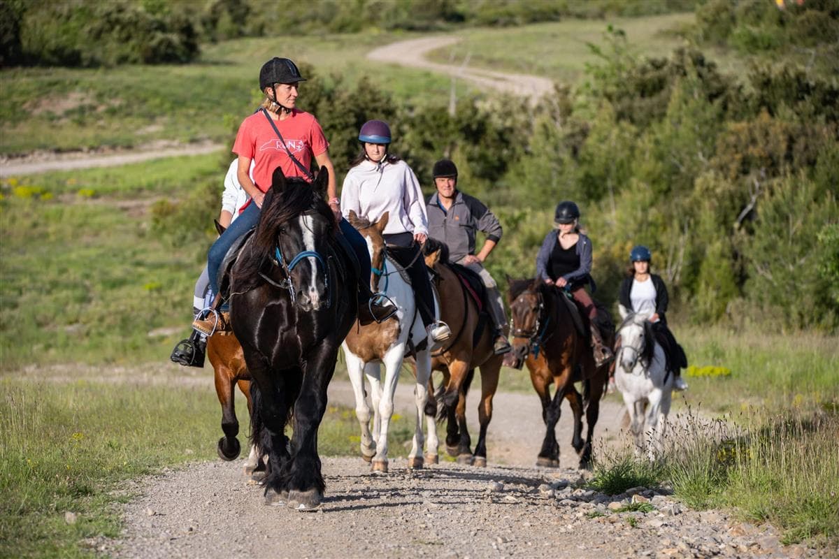 Horse aventure Horse and sens