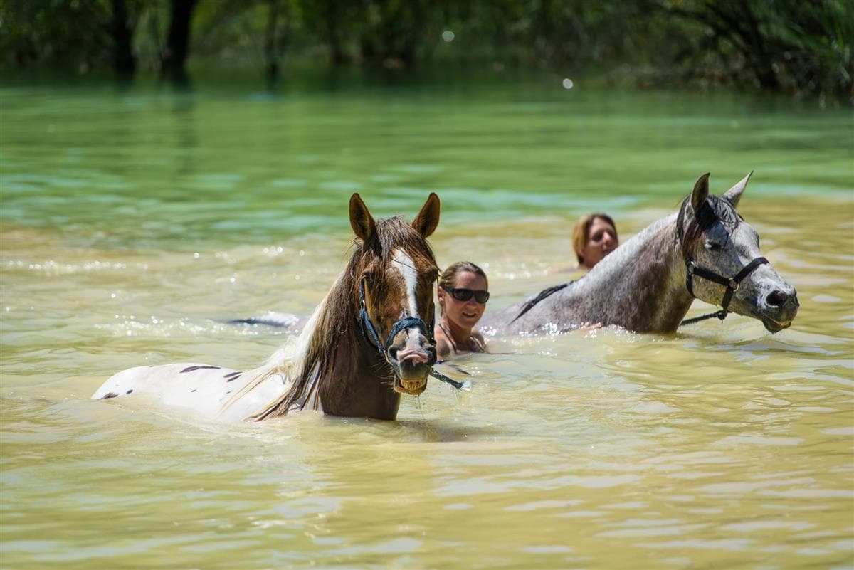 Randonnée à cheval journée (option itinérance)