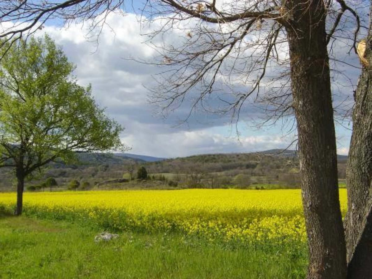 Domaine de la Borie - La Magnanerie