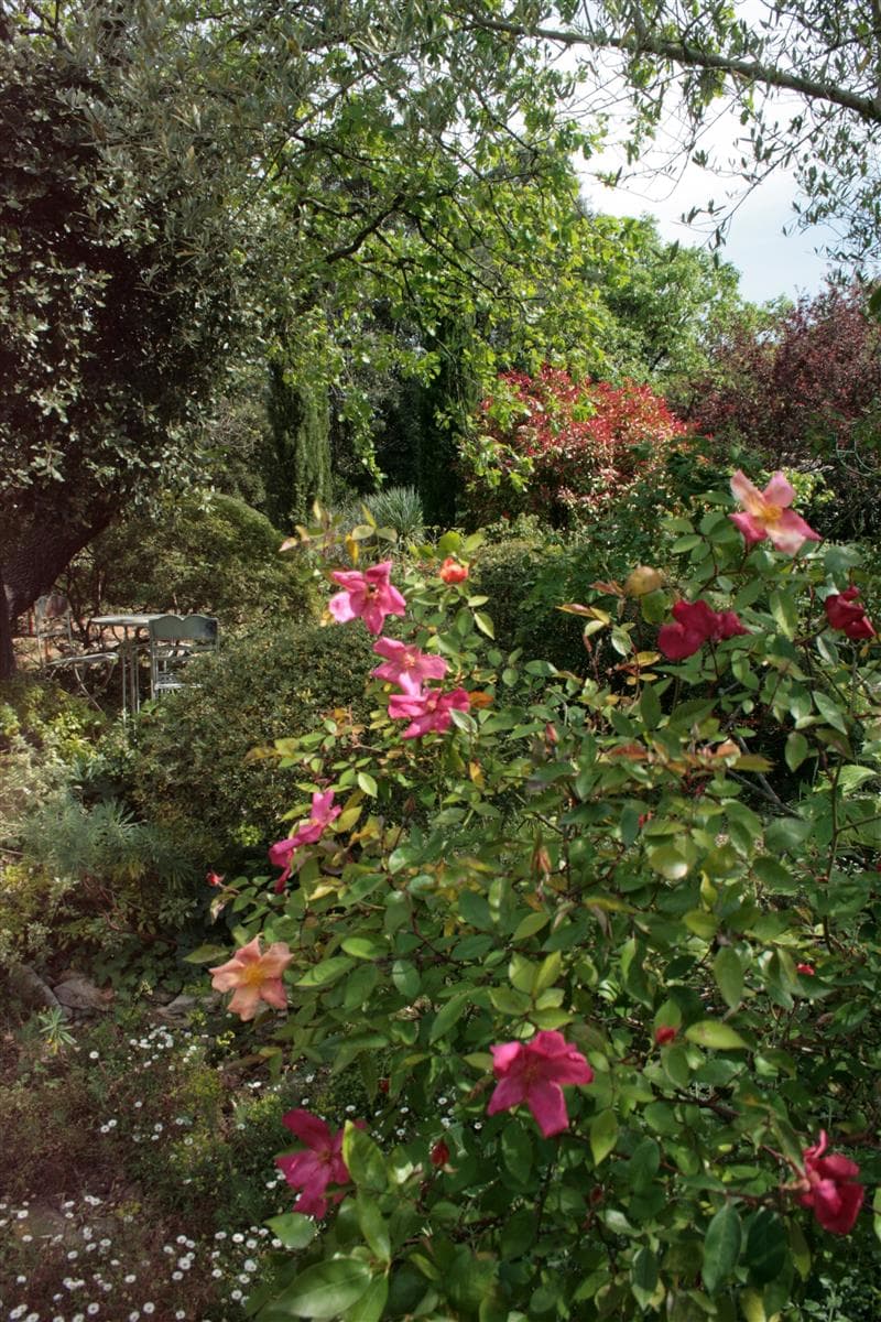 Le Jardin de la Taillade_2