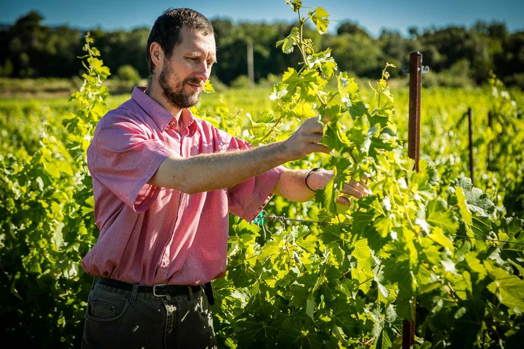 Domaine de Brunet
