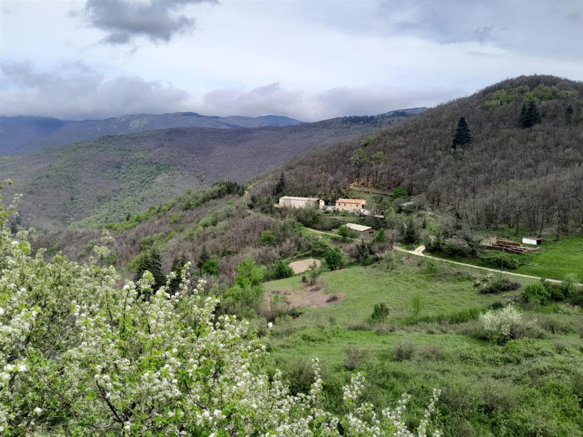 ferme esparon