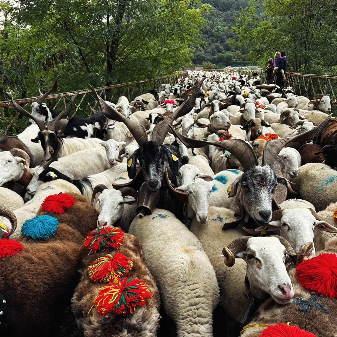 La Ferme du Pic
